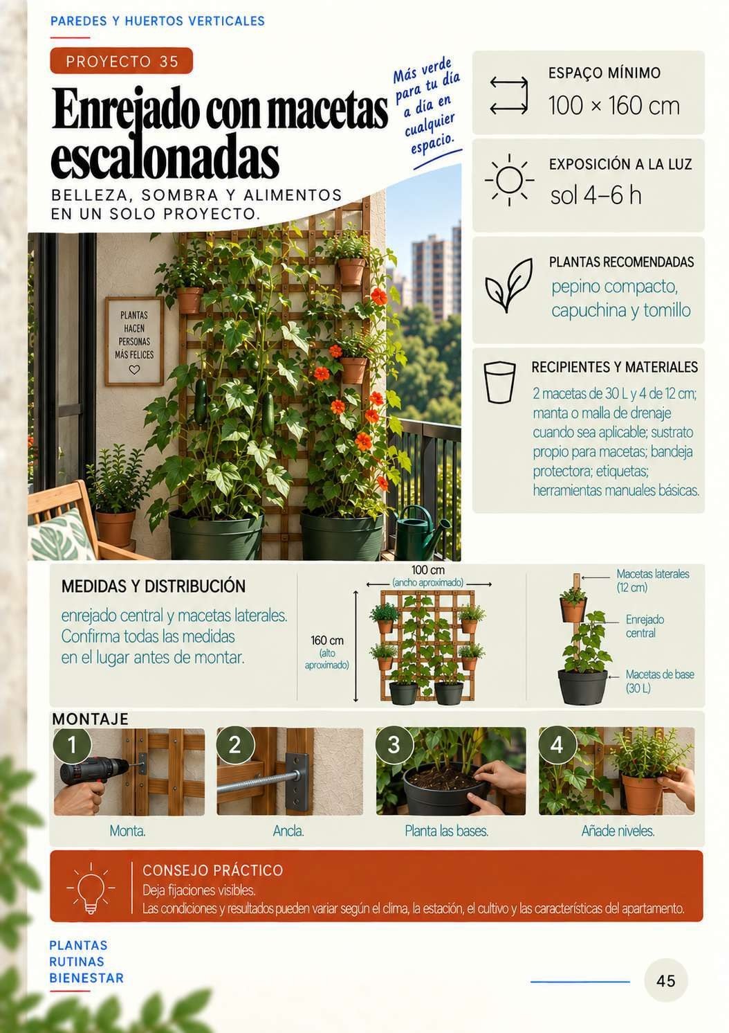 Proyecto de celosía con macetas escalonadas